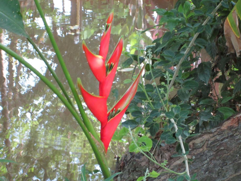 Happiness Resort Sukhothai Buitenkant foto